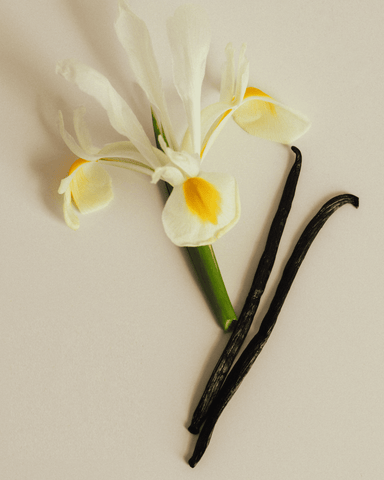 Pure Vanilla Fragrance Duo